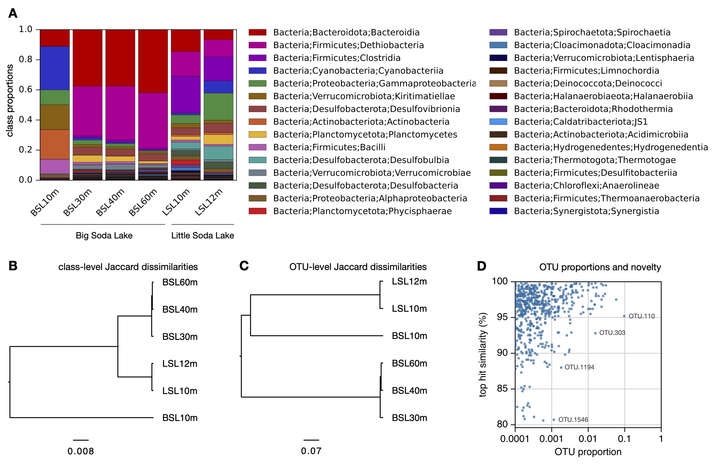 Prokaryotic taxonomic profiles